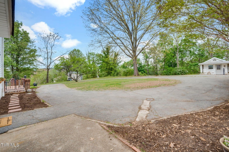 Photo #53: 207 Lynwood Street