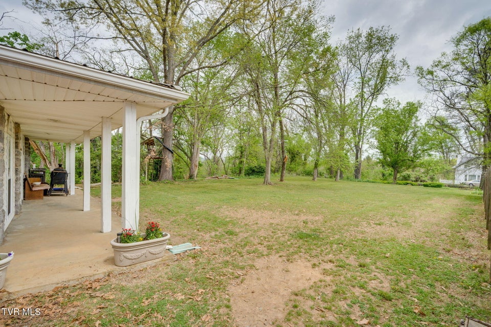 Photo #64: 207 Lynwood Street