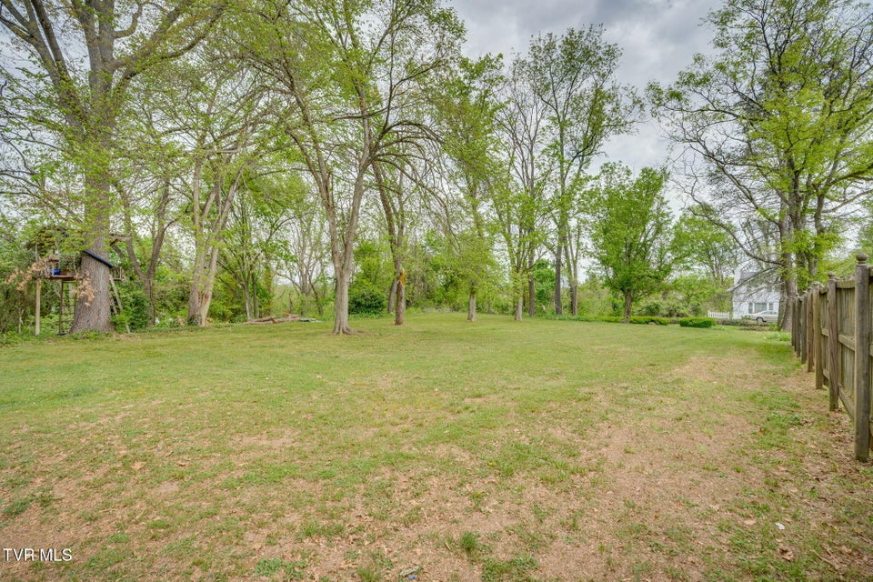 Photo #65: 207 Lynwood Street