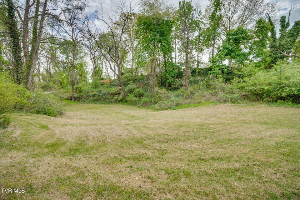 Photo #66: 207 Lynwood Street