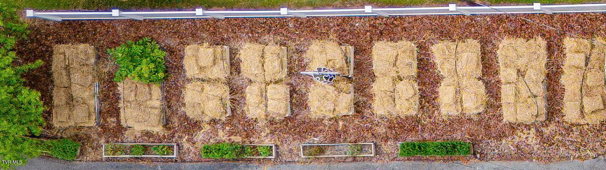 Photo #32: 322 Carolina Avenue