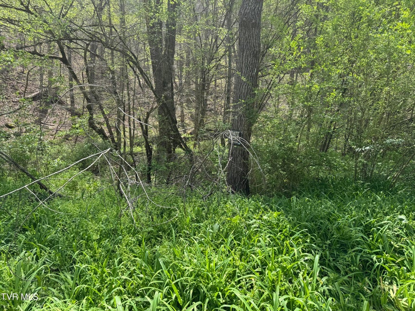 Photo #16: 391 Hagan Road