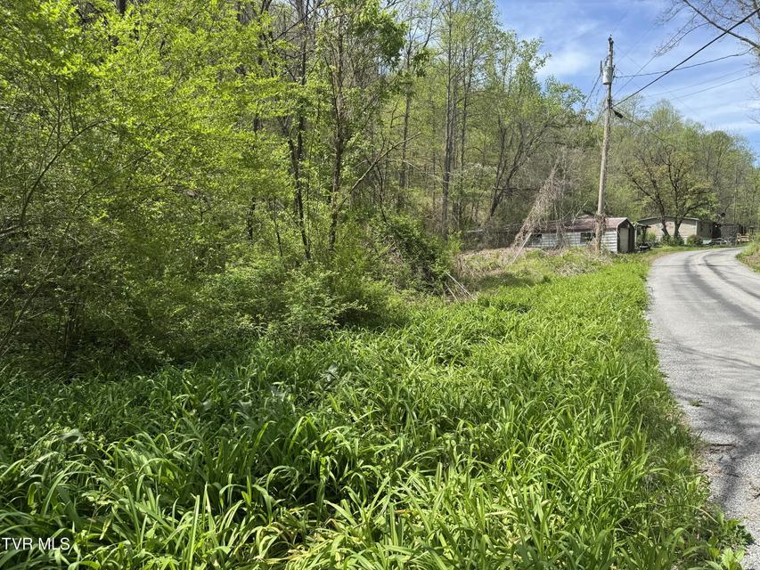 Photo #15: 391 Hagan Road