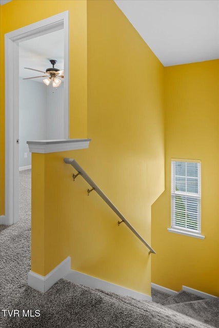 Photo #41: 207 Azalea Ridge