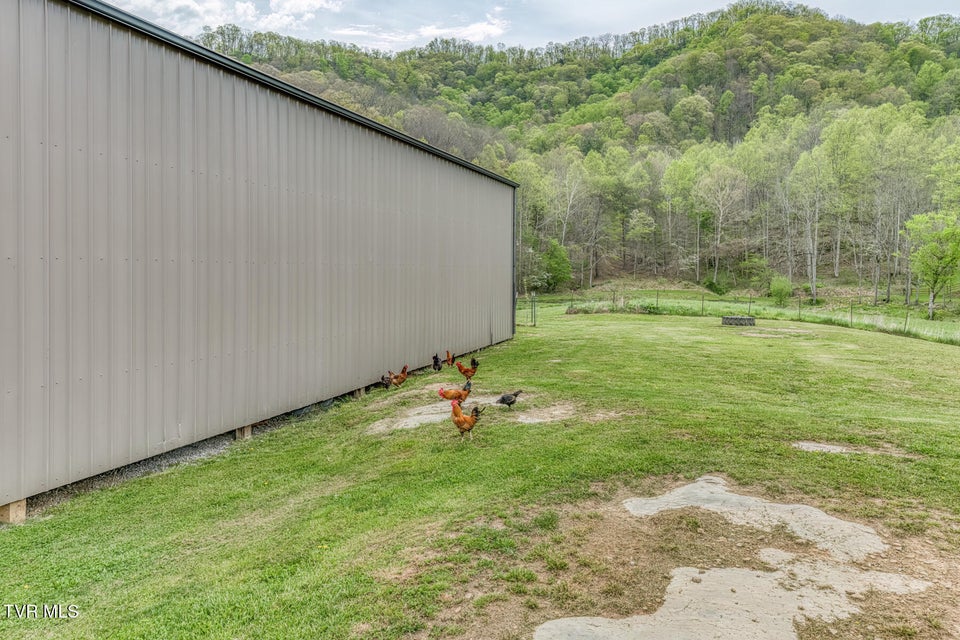 Photo #52: 12288 Bristol Highway