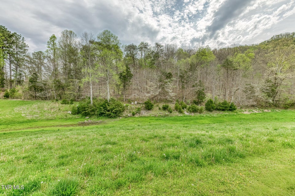 Photo #59: 12288 Bristol Highway