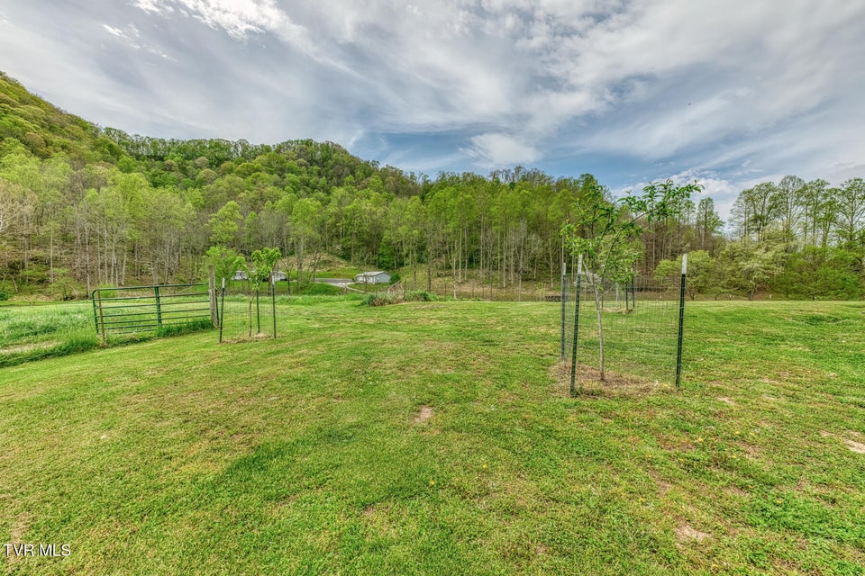 Photo #60: 12288 Bristol Highway