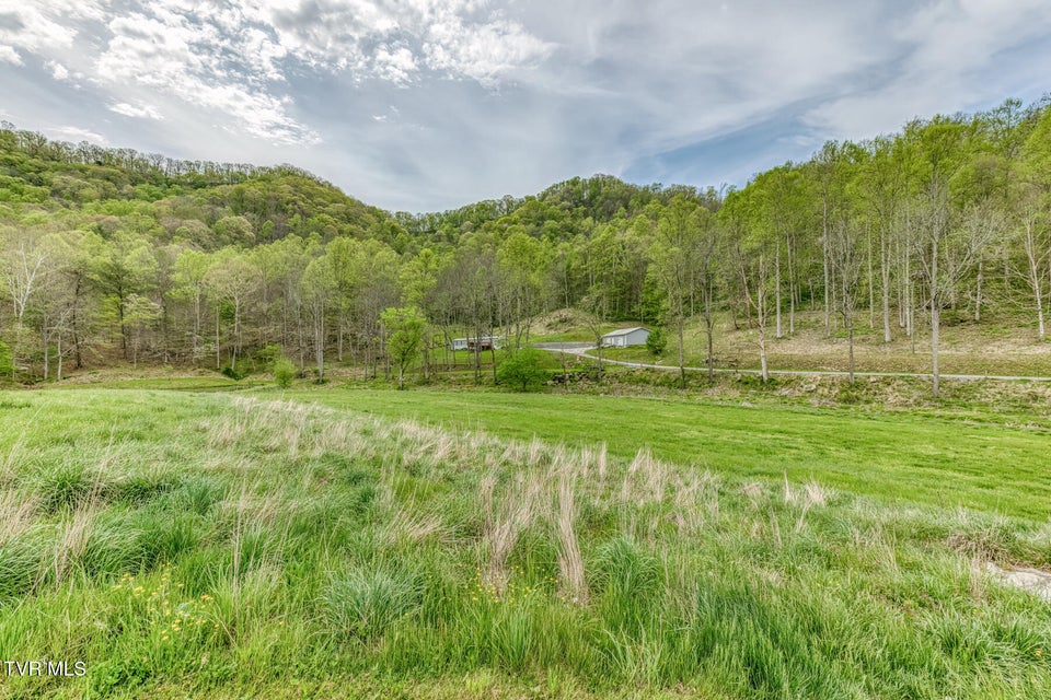 Photo #62: 12288 Bristol Highway