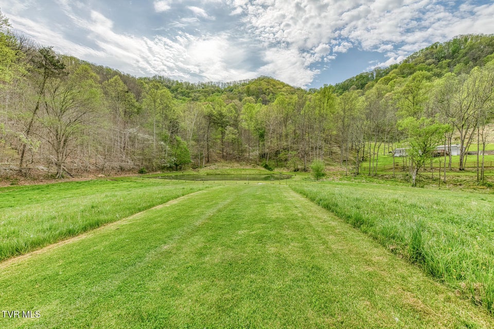 Photo #66: 12288 Bristol Highway