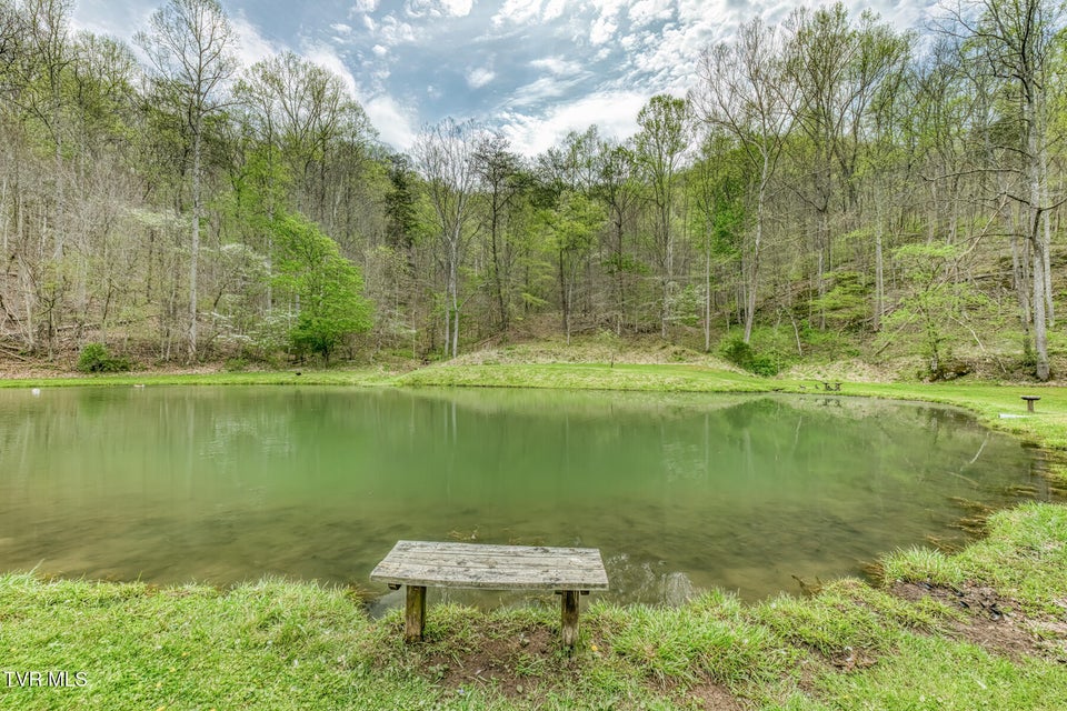 Photo #70: 12288 Bristol Highway