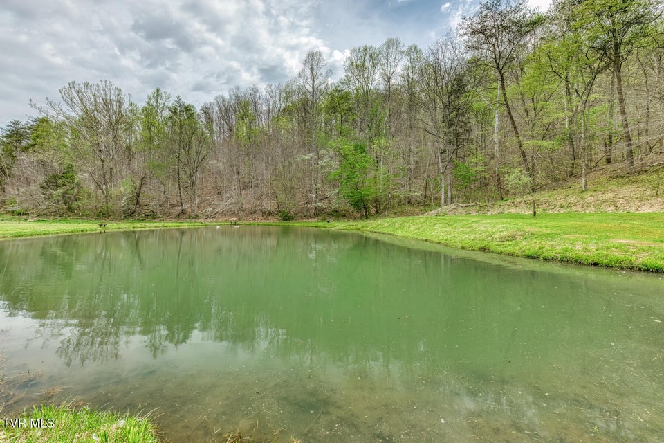 Photo #71: 12288 Bristol Highway