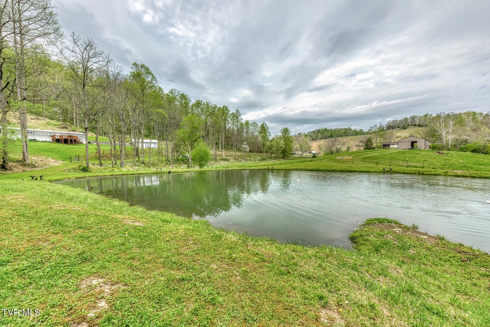 Photo #73: 12288 Bristol Highway