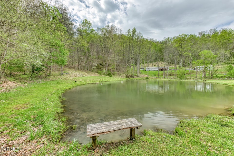 Photo #74: 12288 Bristol Highway