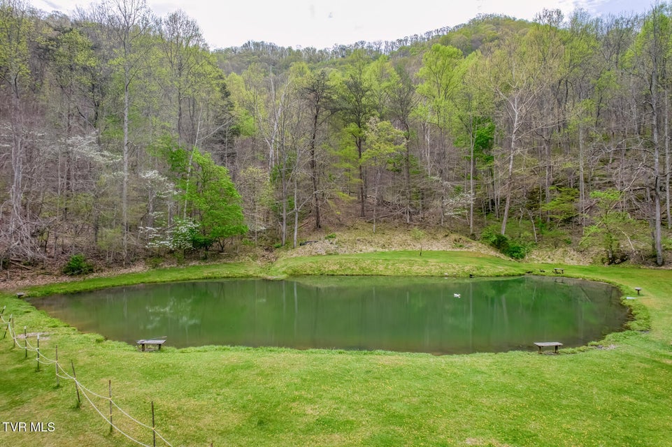 Photo #76: 12288 Bristol Highway