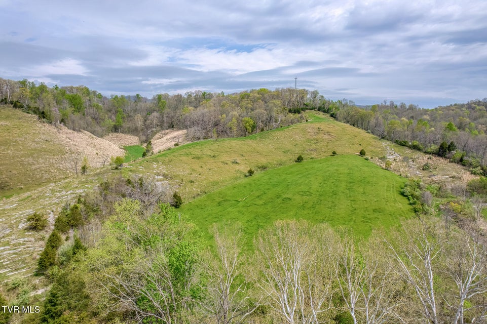 Photo #82: 12288 Bristol Highway