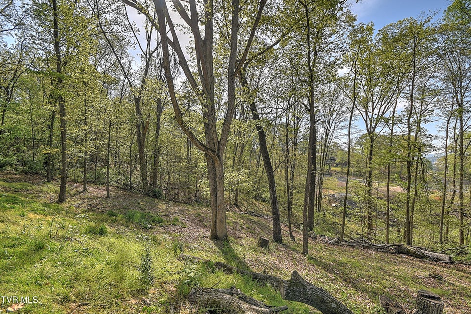 Photo #27: 816 Burwind Court