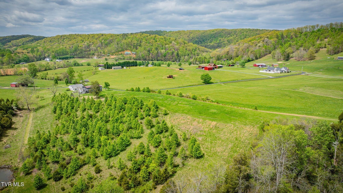 Photo #70: 156 Simpson Road