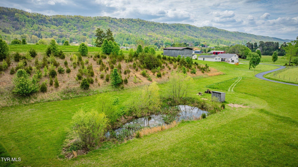 Photo #68: 156 Simpson Road