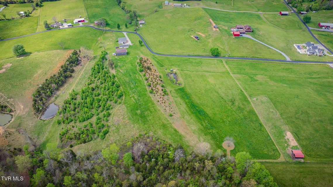 Photo #58: 156 Simpson Road