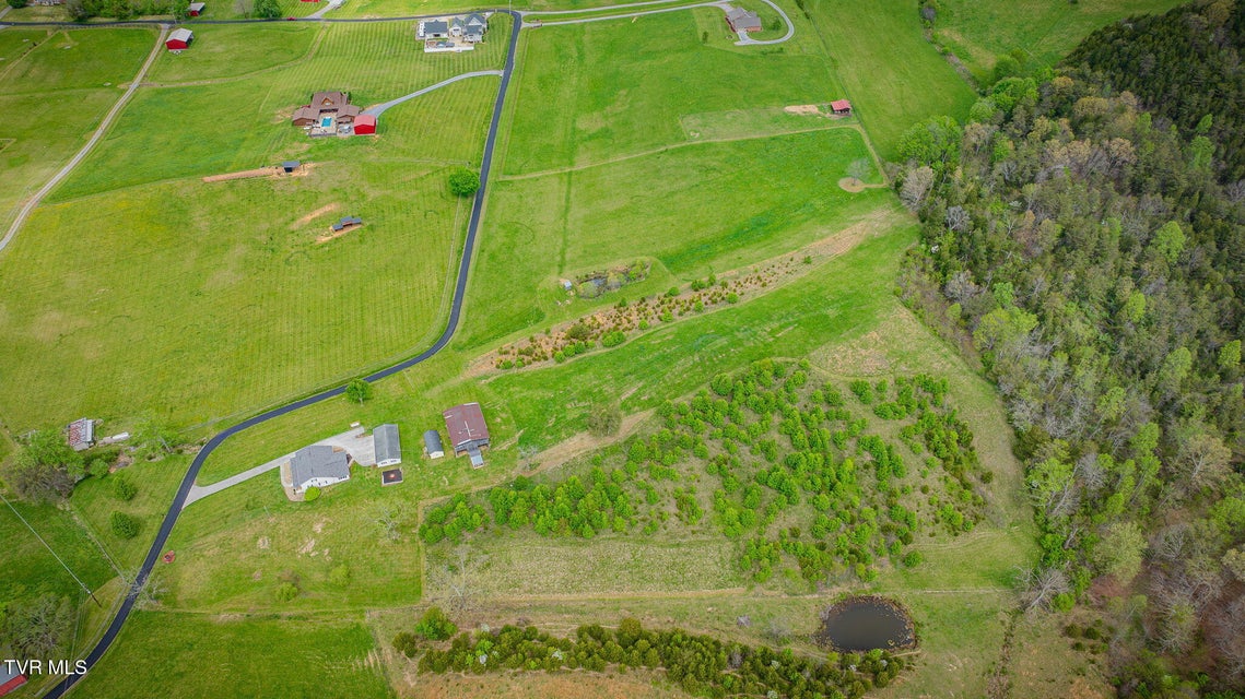 Photo #60: 156 Simpson Road