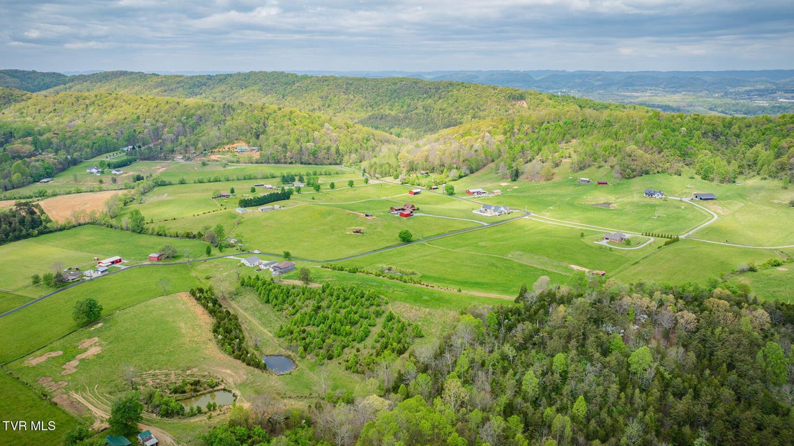 Photo #67: 156 Simpson Road