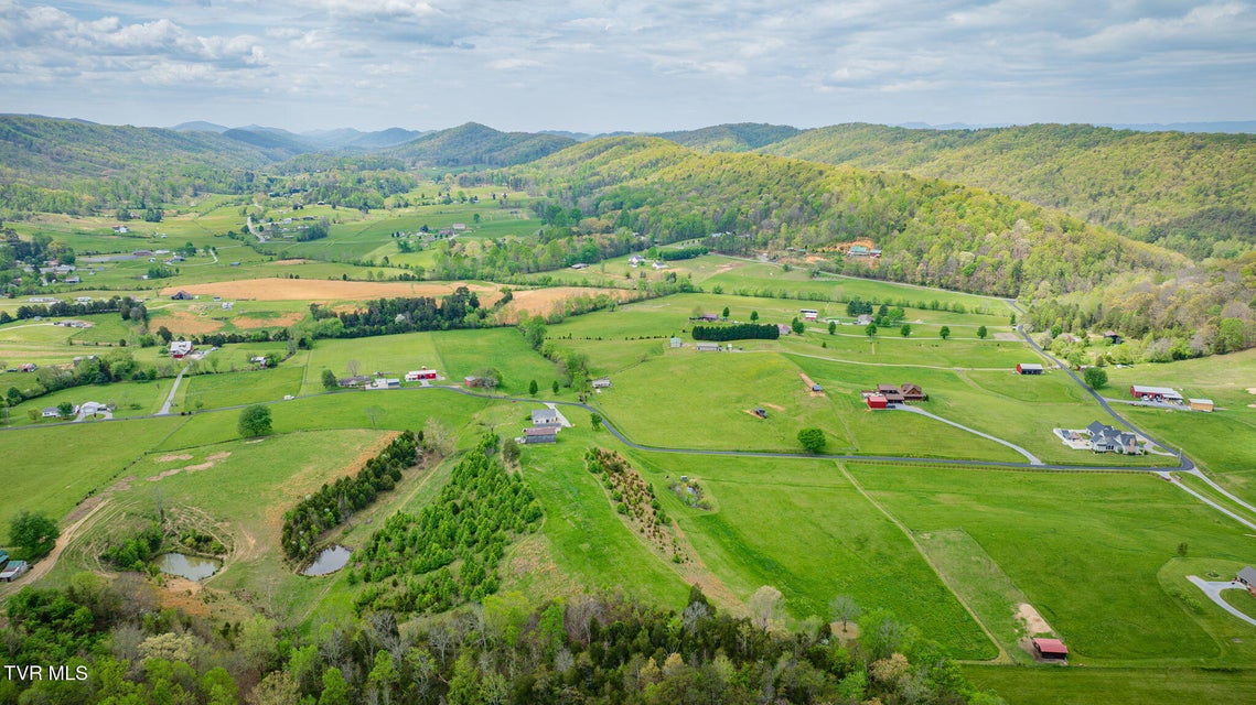 Photo #66: 156 Simpson Road