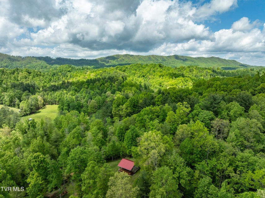 Photo #13: 994 Fairview Road