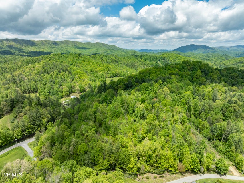 Photo #33: 994 Fairview Road