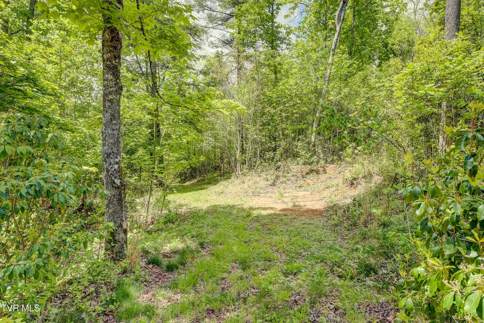 Photo #43: 994 Fairview Road