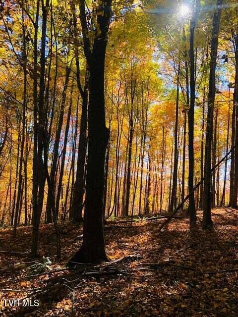 Photo #28: 345 Greentree Drive