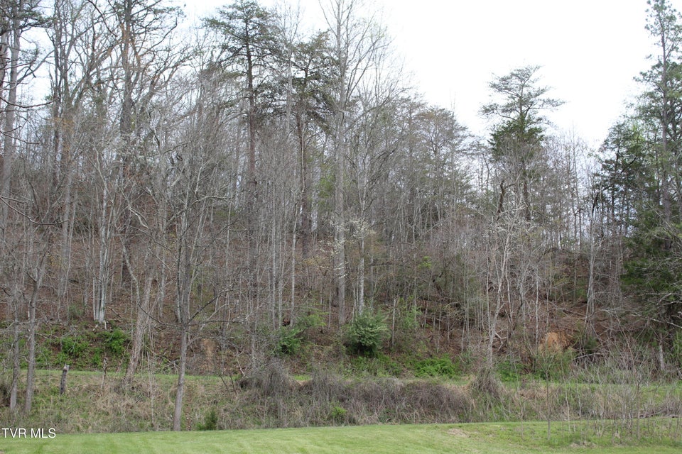 Photo #4: 001 Reeds Creek Road