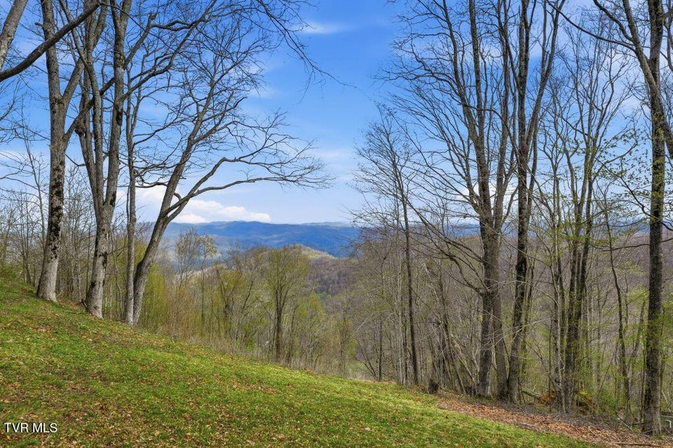 Photo #7: 195 Log Cabin Lane