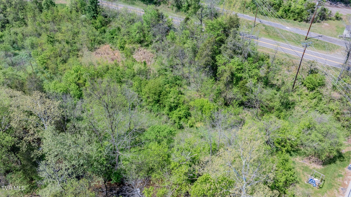 Photo #5: Tbd Highway 11w 