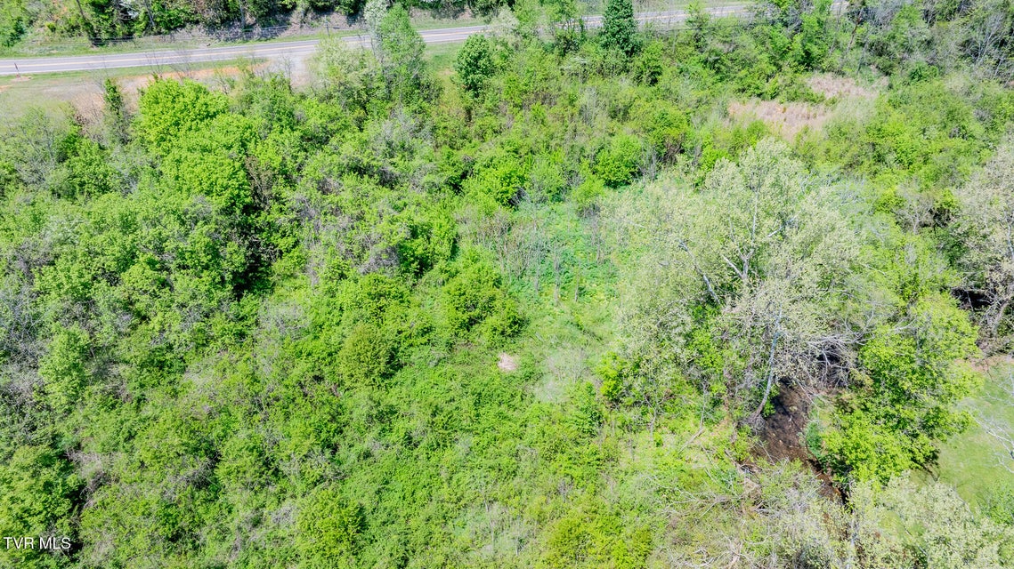 Photo #11: Tbd Highway 11w 