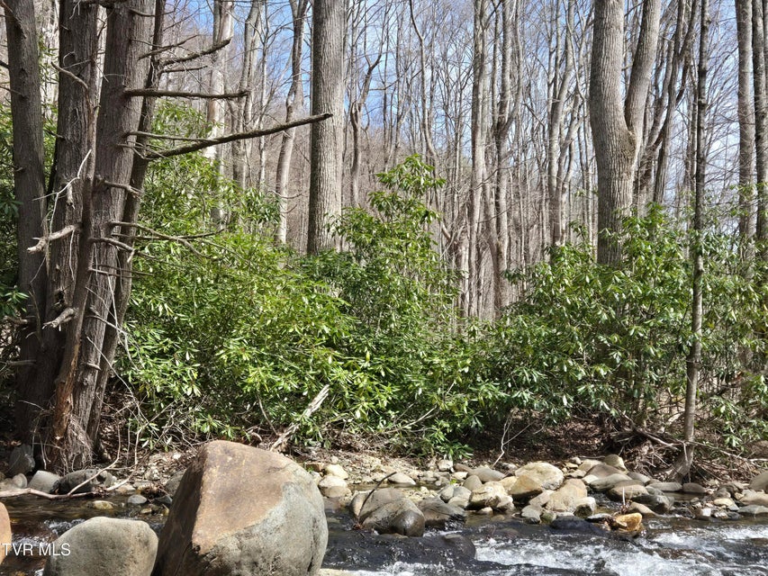 Photo #4: 326 Cove Creek Road