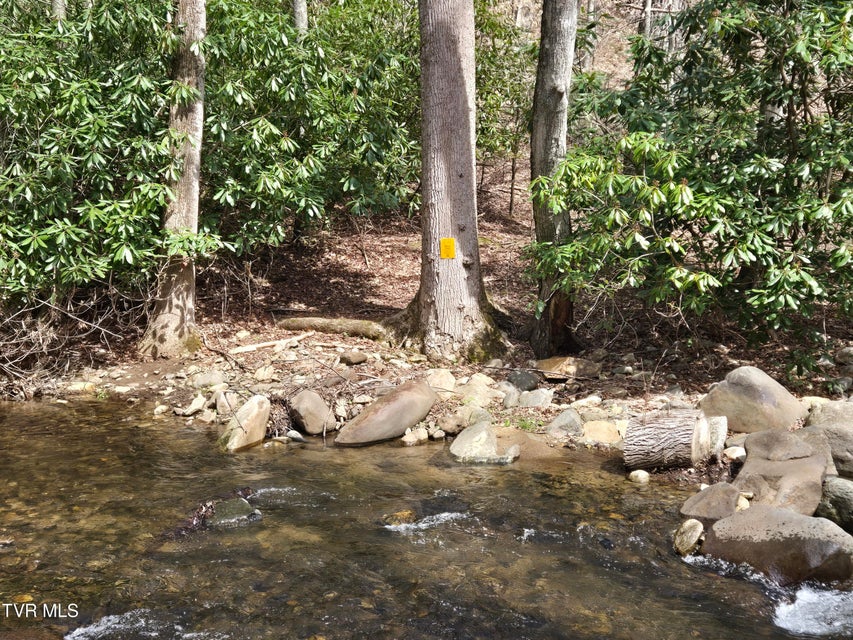 Photo #7: 326 Cove Creek Road