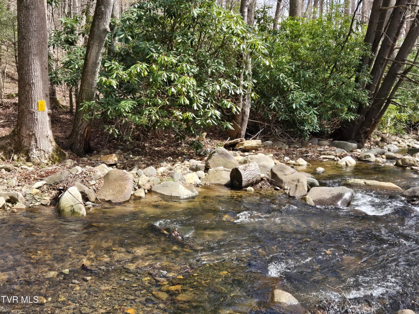Photo #8: 326 Cove Creek Road