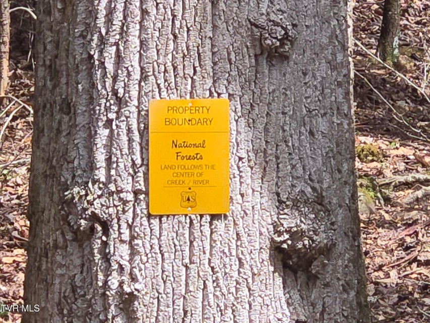 Photo #9: 326 Cove Creek Road