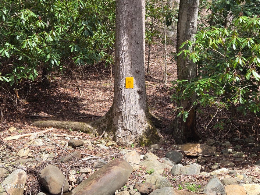 Photo #6: 326 Cove Creek Road