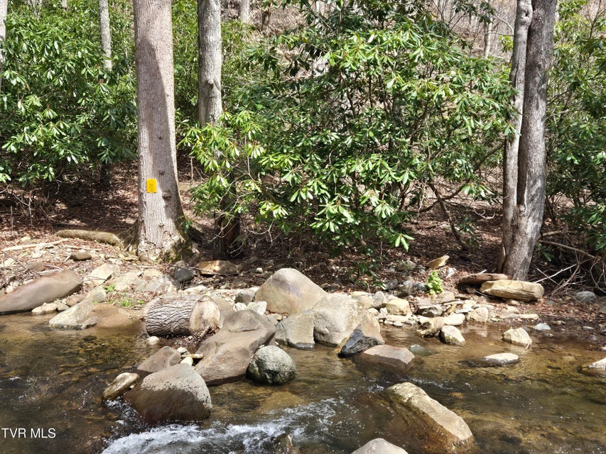 Photo #10: 326 Cove Creek Road