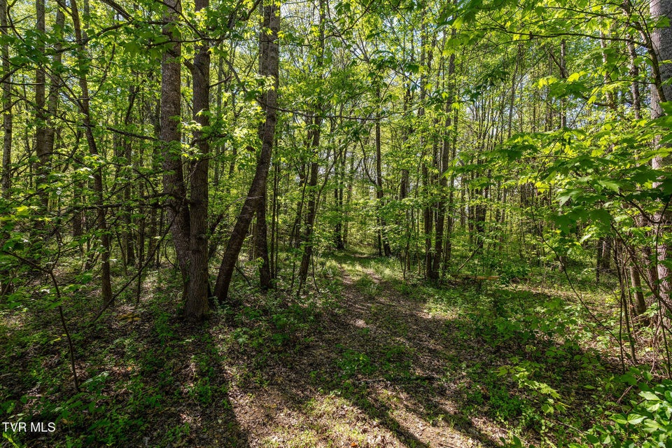 Photo #52: 110 Keller Road