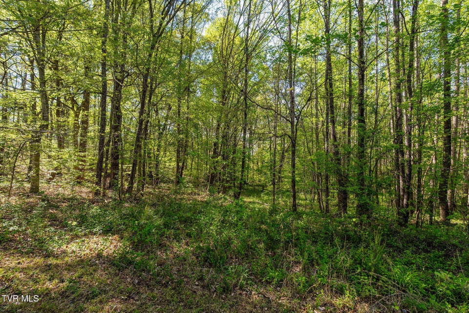 Photo #54: 110 Keller Road