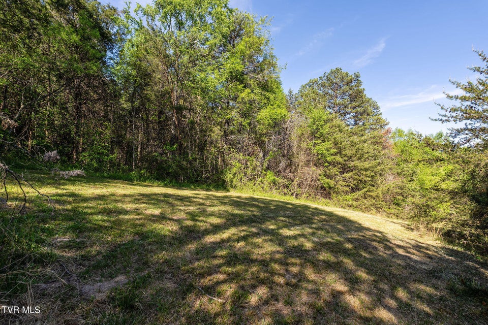 Photo #59: 110 Keller Road