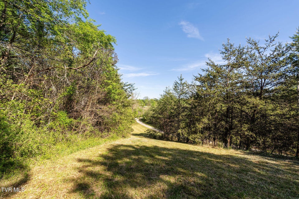 Photo #60: 110 Keller Road