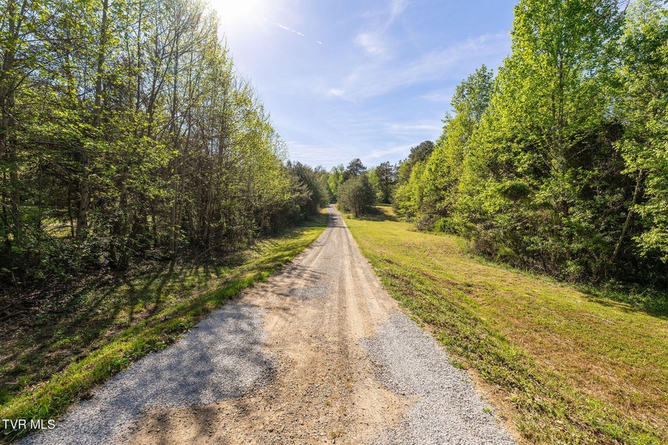 Photo #62: 110 Keller Road