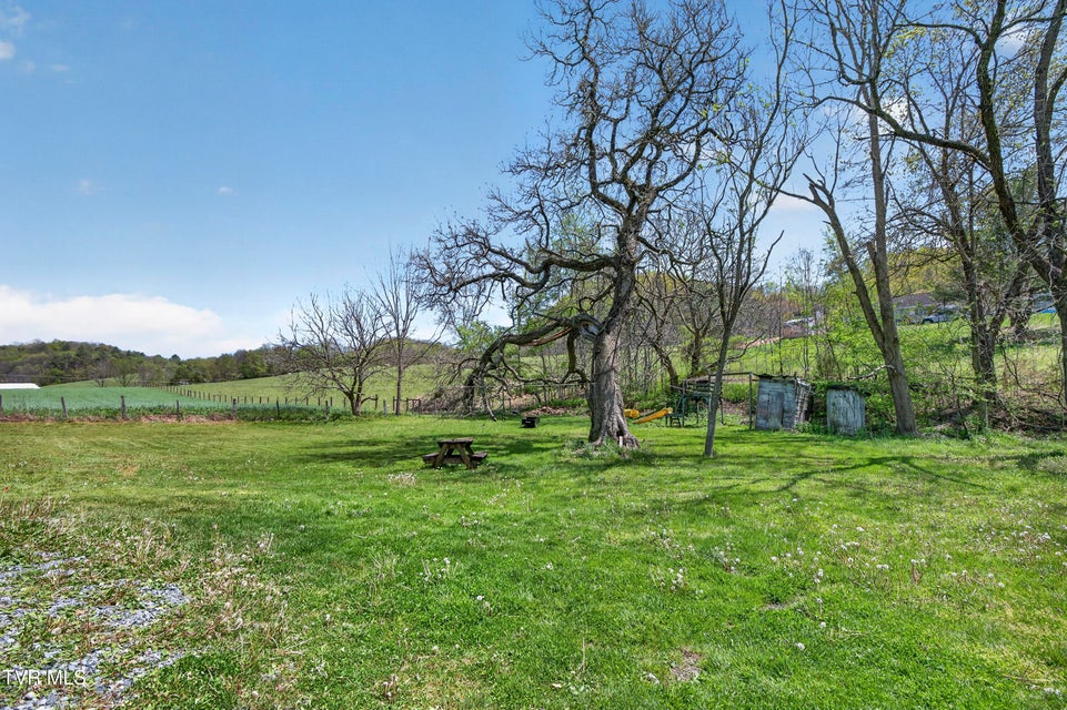 Photo #59: 20217 Shadowood Circle