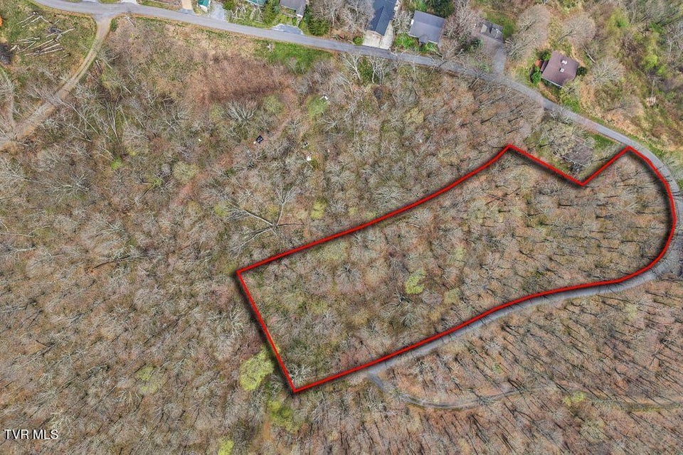 Photo #3: Tbd Log Cabin Lane