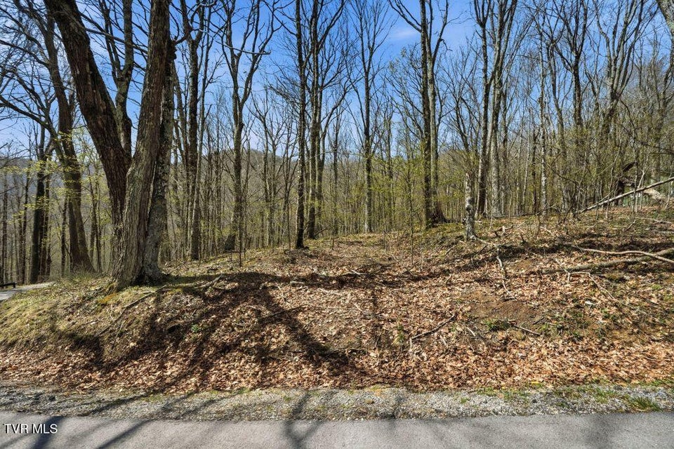 Photo #4: Tbd Log Cabin Lane