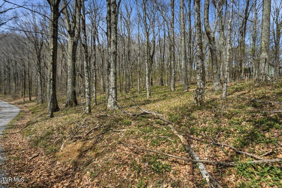 Photo #5: Tbd Log Cabin Lane