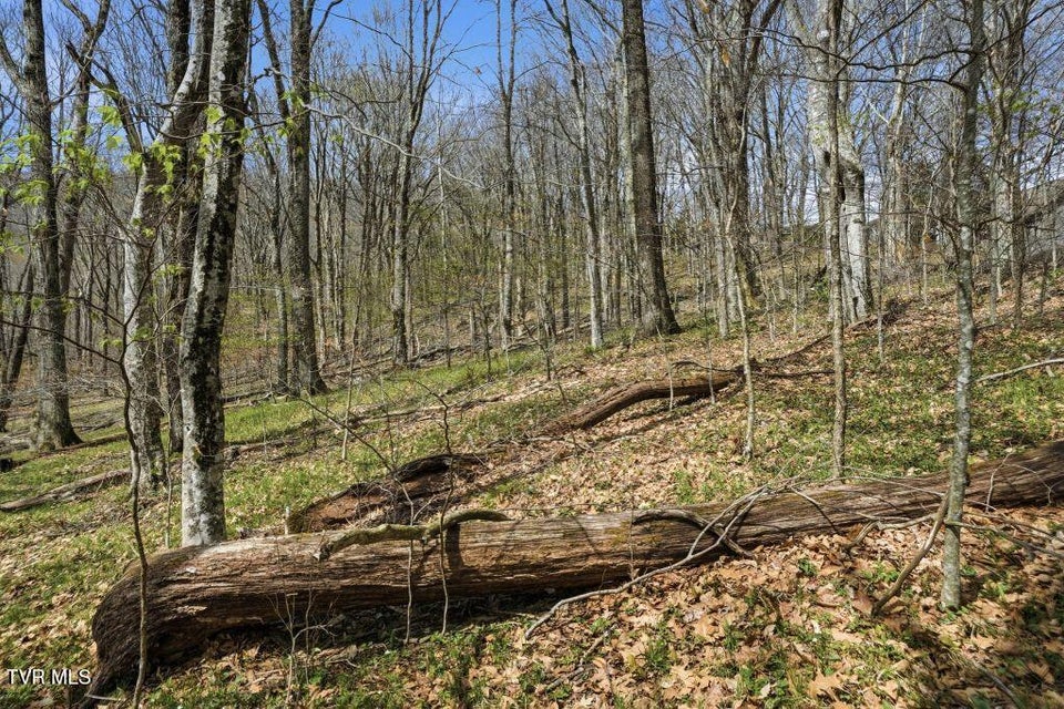 Photo #6: Tbd Log Cabin Lane